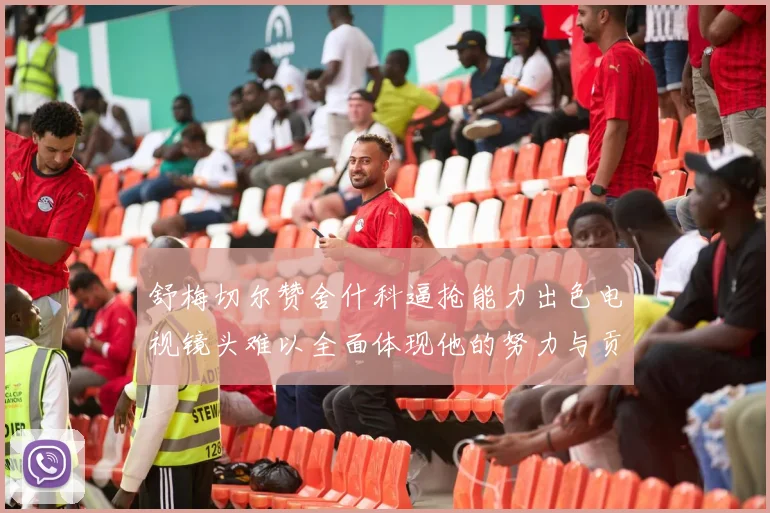 舒梅切尔赞舍什科逼抢能力出色电视镜头难以全面体现他的努力与贡献