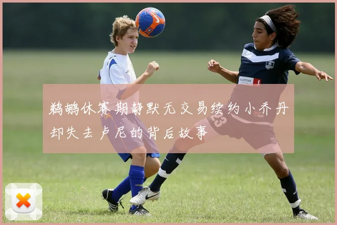 鹈鹕休赛期静默无交易续约小乔丹却失去卢尼的背后故事